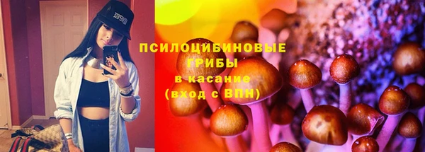 прущие грибы Магадан